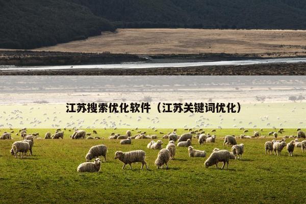 江苏搜索优化软件（江苏关键词优化）
