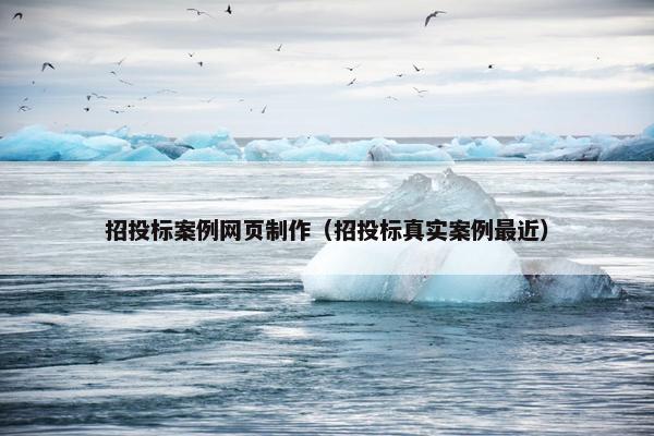 招投标案例网页制作（招投标真实案例最近）