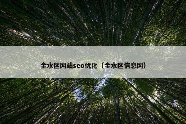 金水区网站seo优化（金水区信息网）