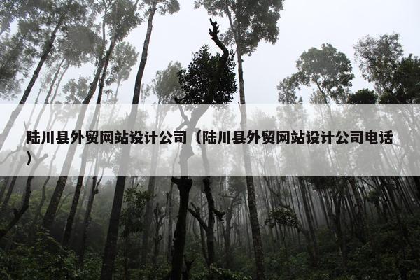 陆川县外贸网站设计公司（陆川县外贸网站设计公司电话）