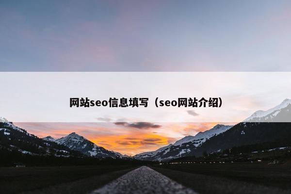 网站seo信息填写（seo网站介绍）