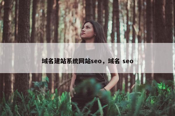 域名建站系统网站seo，域名 seo