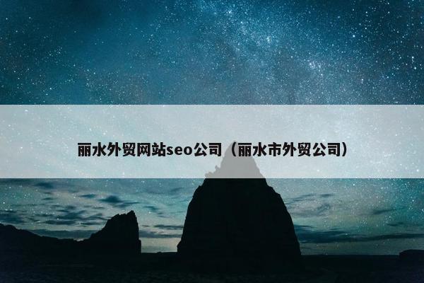 丽水外贸网站seo公司（丽水市外贸公司）