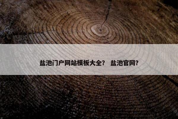 盐池门户网站模板大全？ 盐池官网？