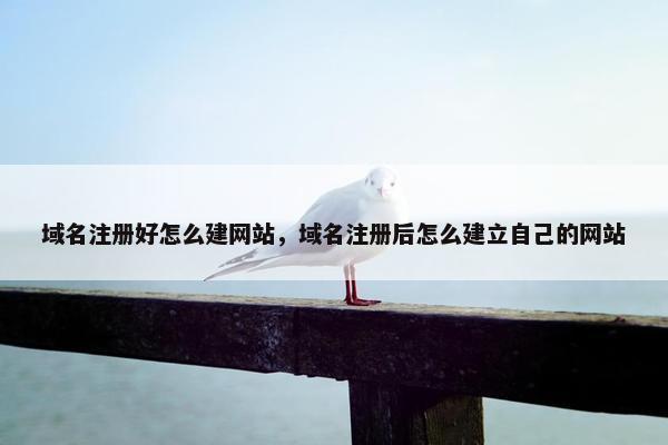 域名注册好怎么建网站，域名注册后怎么建立自己的网站