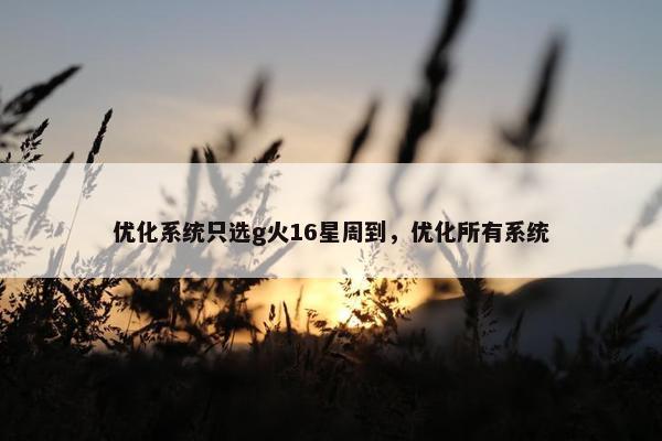 优化系统只选g火16星周到，优化所有系统