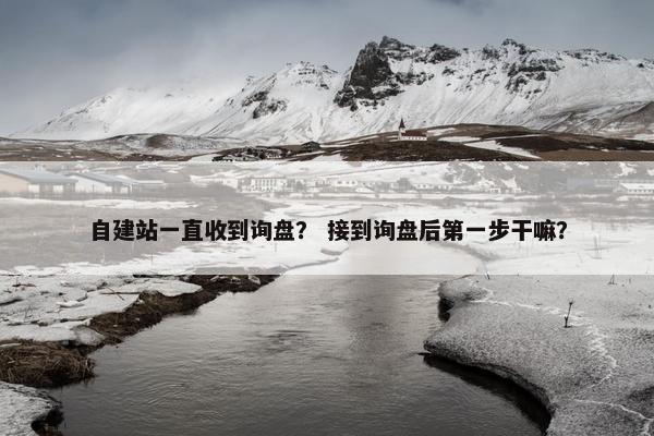 自建站一直收到询盘？ 接到询盘后第一步干嘛？