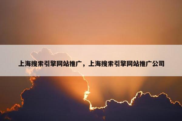 上海搜索引擎网站推广，上海搜索引擎网站推广公司