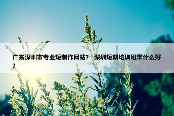 广东深圳市专业短制作网站？ 深圳短期培训班学什么好？
