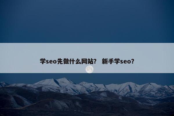 学seo先做什么网站？ 新手学seo？