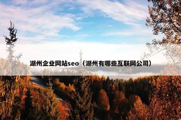 湖州企业网站seo（湖州有哪些互联网公司）