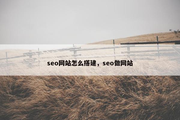 seo网站怎么搭建，seo做网站
