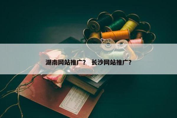 湖南网站推广？ 长沙网站推广？