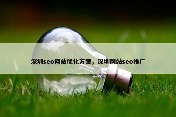深圳seo网站优化方案，深圳网站seo推广