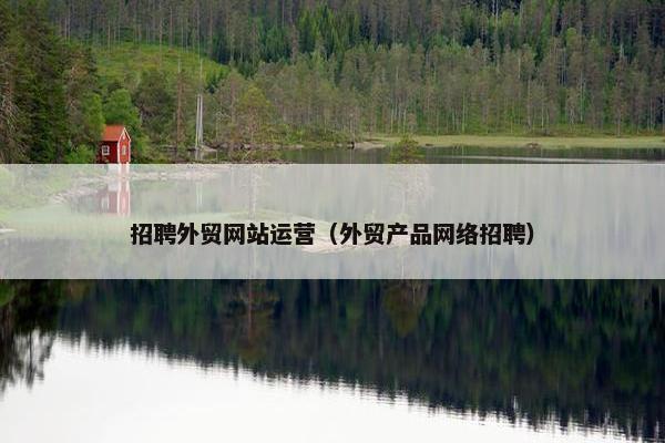 招聘外贸网站运营（外贸产品网络招聘）
