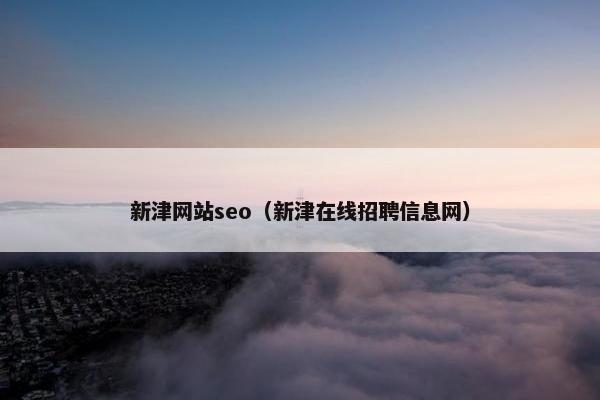 新津网站seo（新津在线招聘信息网）