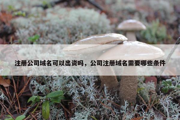 注册公司域名可以出资吗，公司注册域名需要哪些条件