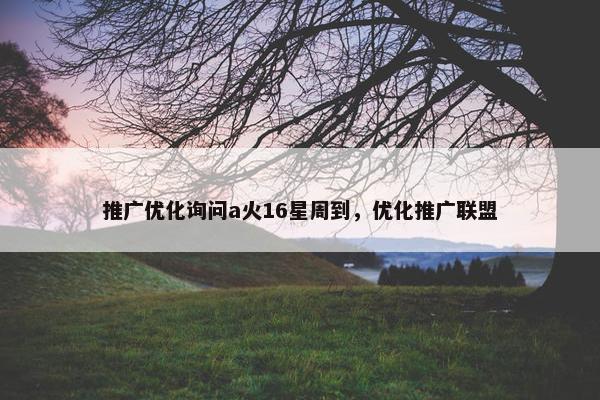 推广优化询问a火16星周到，优化推广联盟