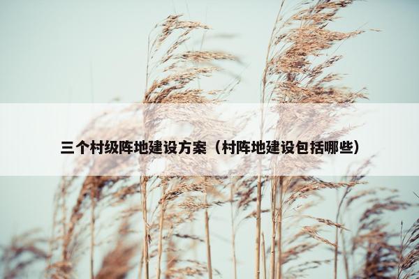 三个村级阵地建设方案（村阵地建设包括哪些）