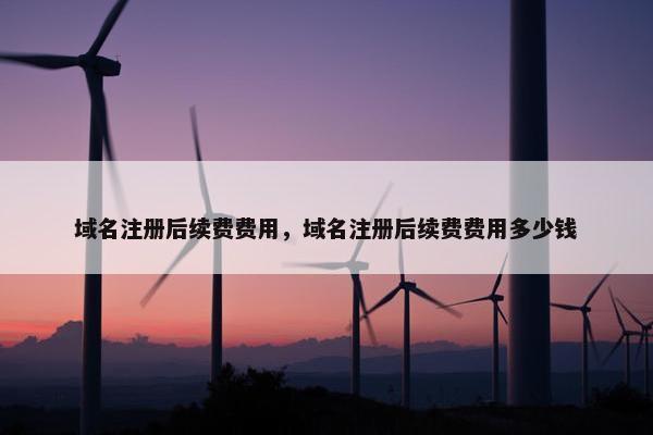 域名注册后续费费用，域名注册后续费费用多少钱