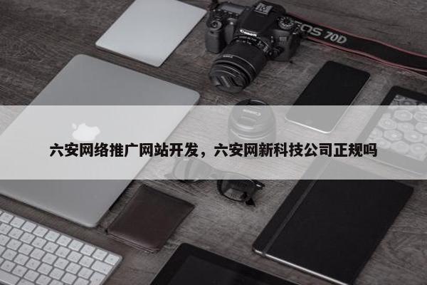六安网络推广网站开发，六安网新科技公司正规吗