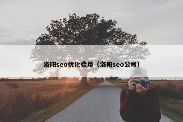 洛阳seo优化费用（洛阳seo公司）