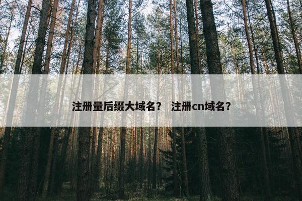 注册量后缀大域名？ 注册cn域名？