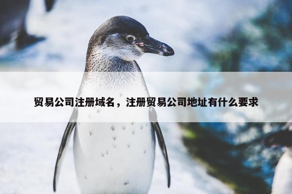 贸易公司注册域名，注册贸易公司地址有什么要求
