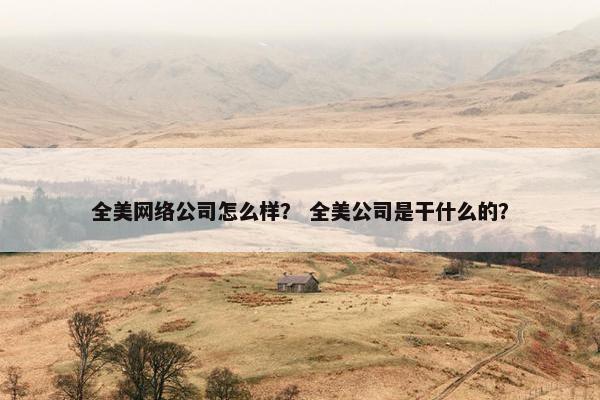 全美网络公司怎么样？ 全美公司是干什么的？