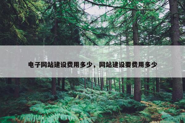 电子网站建设费用多少，网站建设要费用多少
