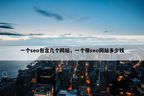 一个seo包含几个网站，一个带seo网站多少钱