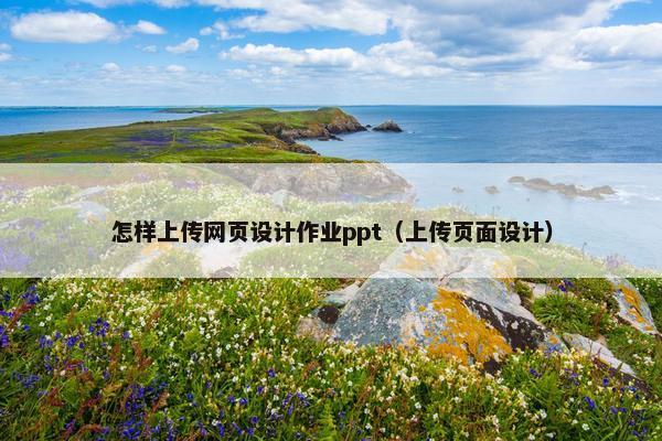 怎样上传网页设计作业ppt（上传页面设计）