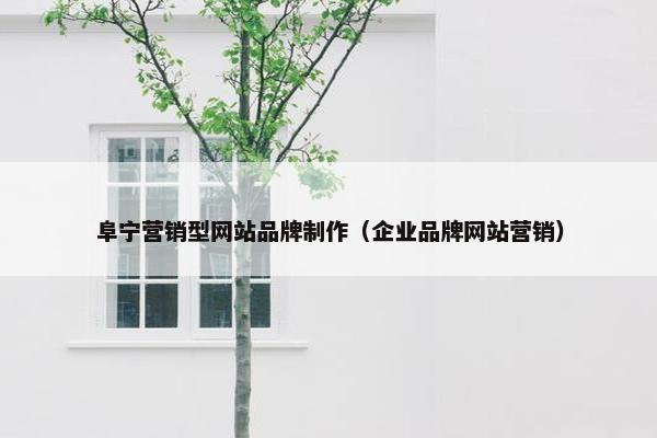 阜宁营销型网站品牌制作（企业品牌网站营销）