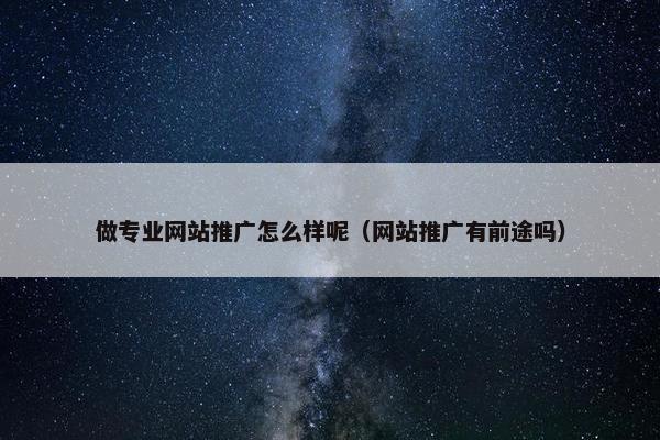 做专业网站推广怎么样呢（网站推广有前途吗）