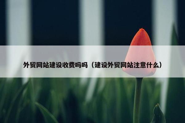 外贸网站建设收费吗吗（建设外贸网站注意什么）