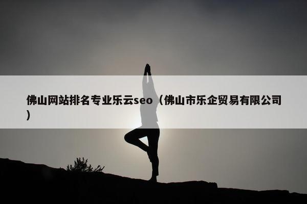 佛山网站排名专业乐云seo（佛山市乐企贸易有限公司）