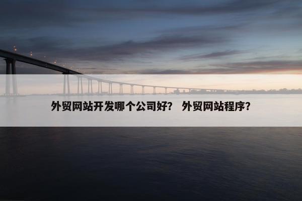 外贸网站开发哪个公司好？ 外贸网站程序？
