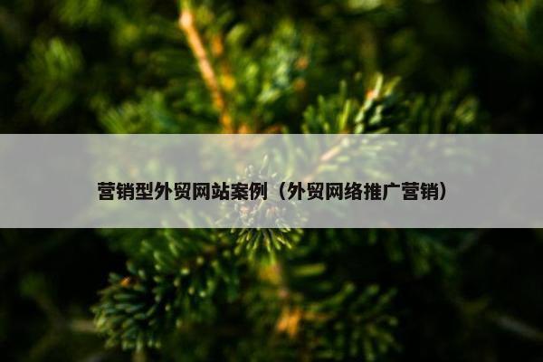 营销型外贸网站案例（外贸网络推广营销）