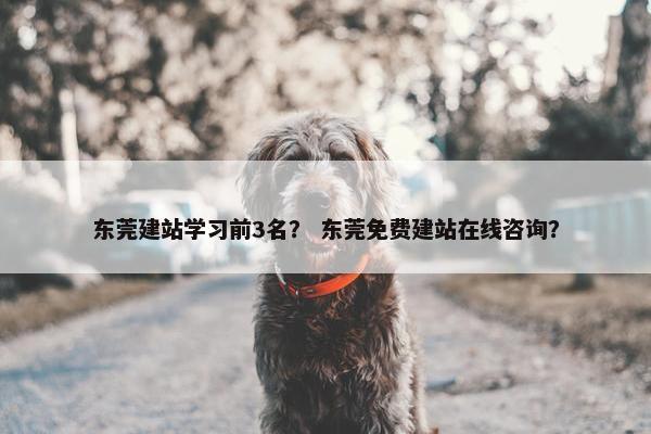 东莞建站学习前3名？ 东莞免费建站在线咨询？