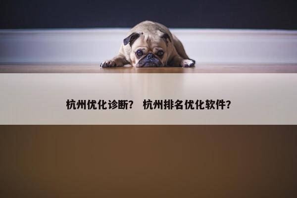 杭州优化诊断？ 杭州排名优化软件？