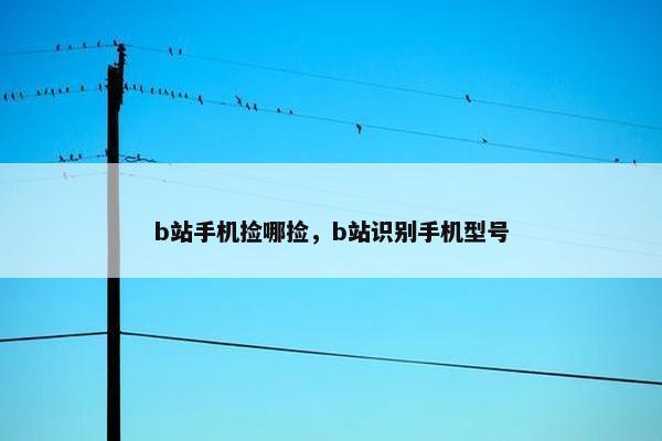 b站手机捡哪捡，b站识别手机型号