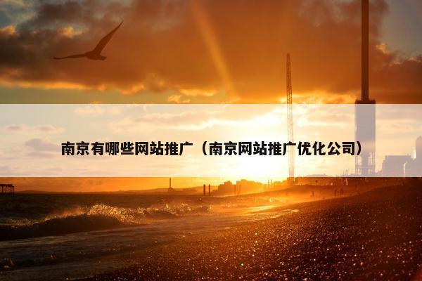 南京有哪些网站推广（南京网站推广优化公司）