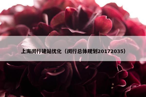 上海闵行建站优化（闵行总体规划20172035）