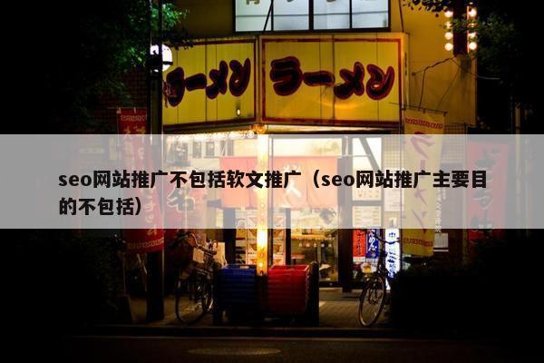 seo网站推广不包括软文推广（seo网站推广主要目的不包括）