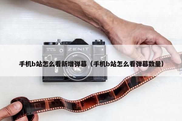 手机b站怎么看新增弹幕（手机b站怎么看弹幕数量）