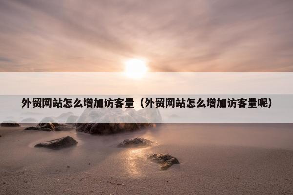 外贸网站怎么增加访客量（外贸网站怎么增加访客量呢）