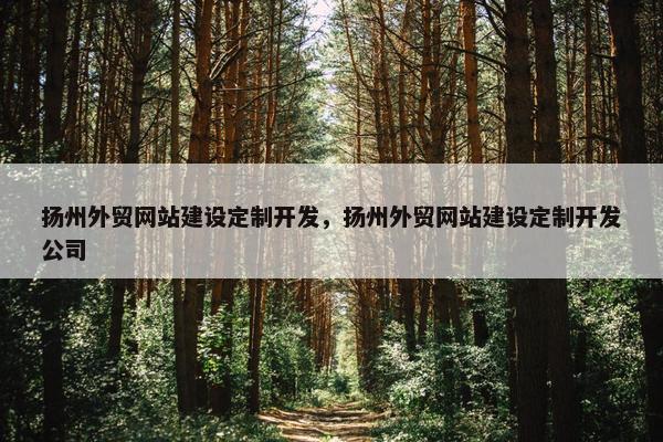 扬州外贸网站建设定制开发，扬州外贸网站建设定制开发公司