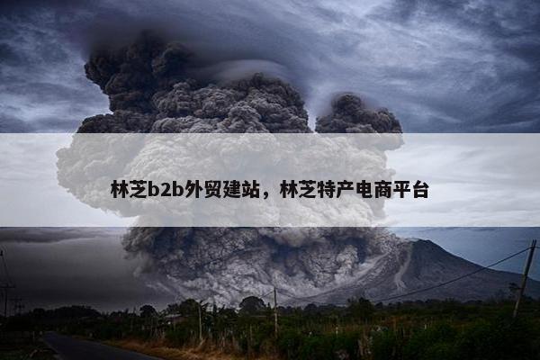 林芝b2b外贸建站，林芝特产电商平台