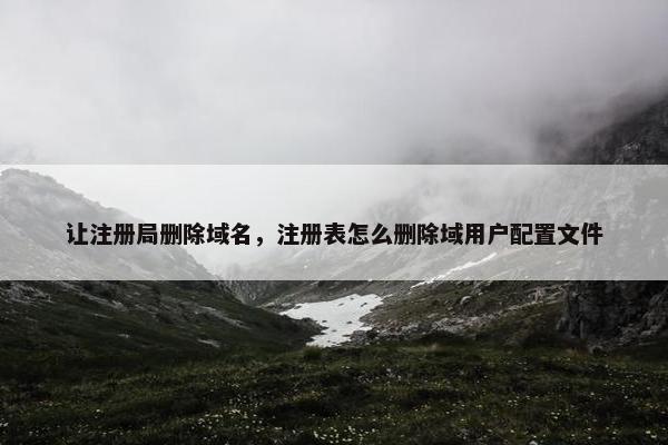 让注册局删除域名，注册表怎么删除域用户配置文件