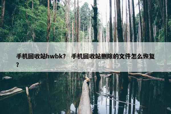 手机回收站hwbk？ 手机回收站删除的文件怎么恢复？